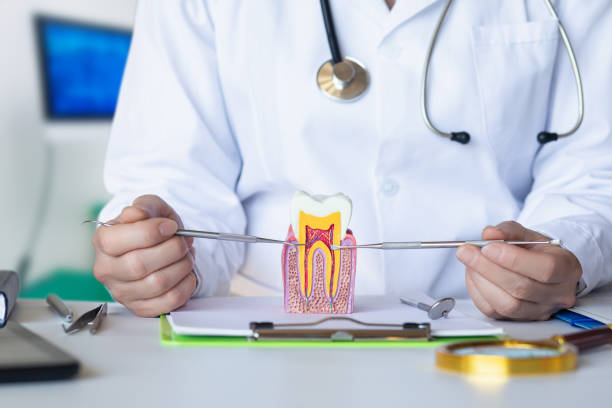 Best Chipped Tooth Repair Near Me  in Schoolcraft, MI